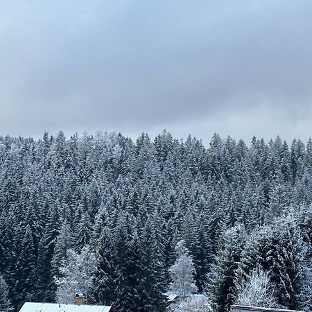 Penzion Verde Rosa Harrachov Luaran gambar