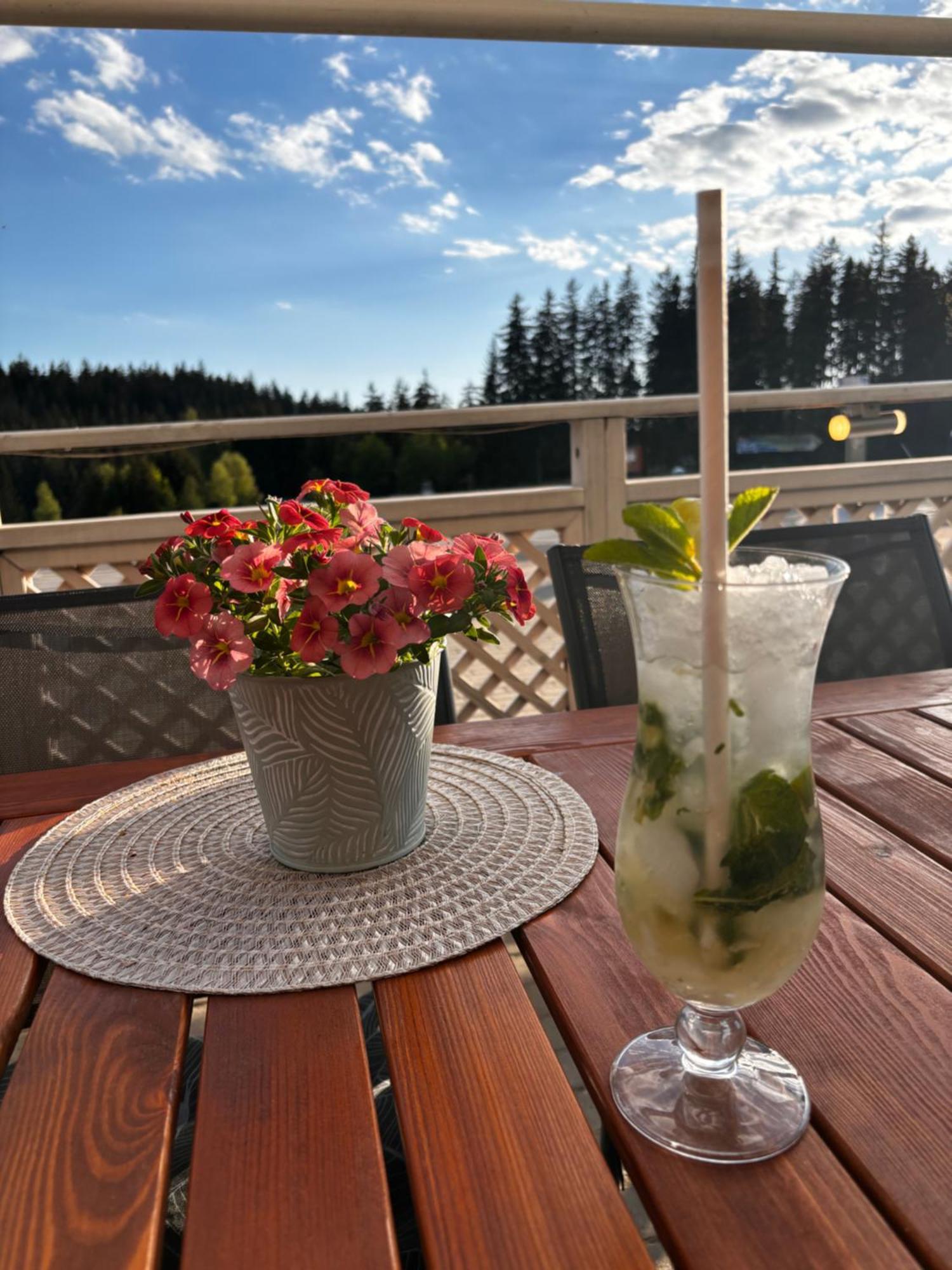Penzion Verde Rosa Harrachov Luaran gambar