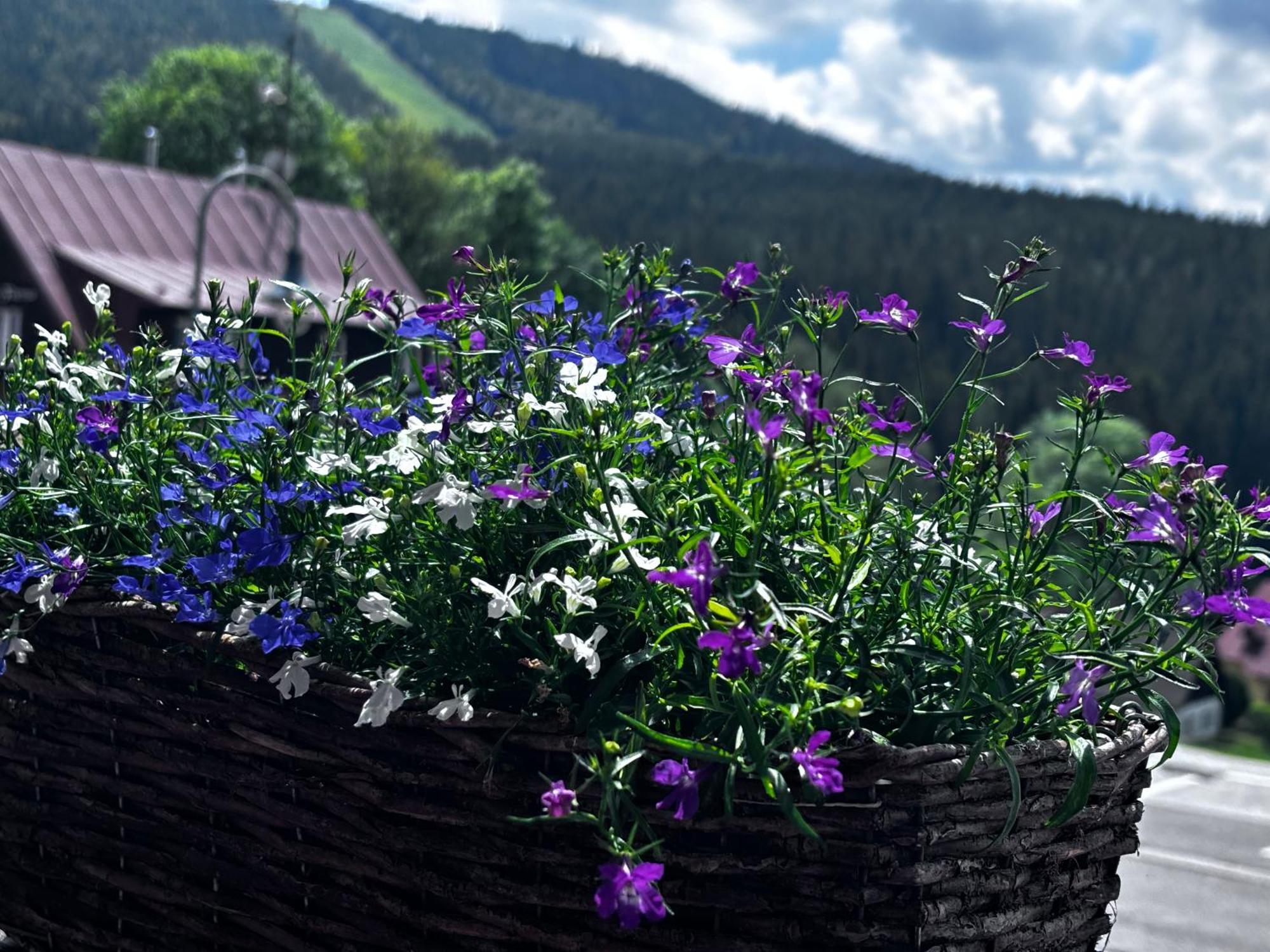Penzion Verde Rosa Harrachov Luaran gambar